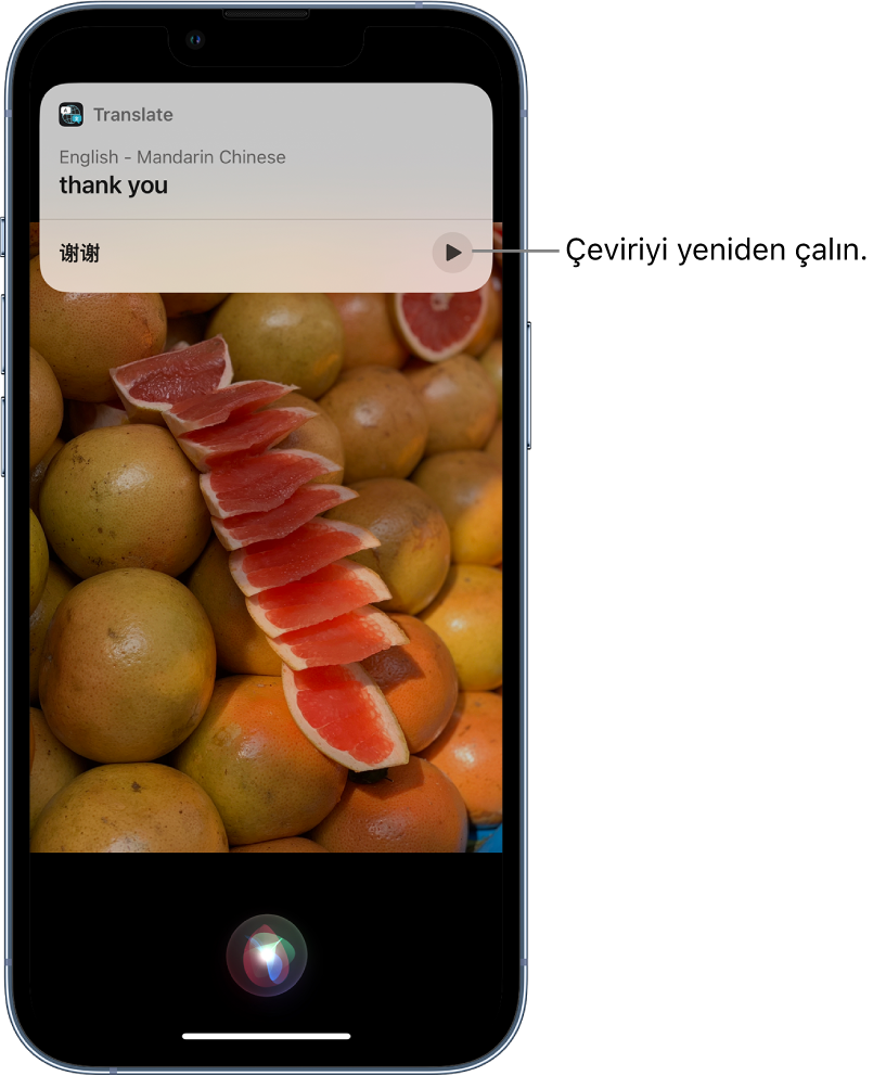 Siri, İngilizce “thank you” ifadesinin Mandarin çevirisini görüntülüyor. Çevirinin en altındaki bir düğme çeviriyi yeniden seslendirir.