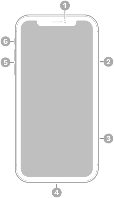 Вигляд iPhone 11 спереду. Передня камера розташована по центру зверху. З правого боку зверху вниз розташовані бічна кнопка та тримач SIM-картки. Конектор Lightning знаходиться знизу. Зліва знизу вгору розташовані кнопки гучності та перемикач «Дзвінок/Тиша».