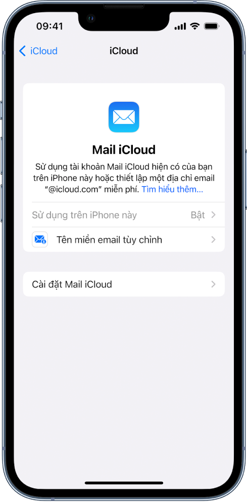 Ở nửa trên của màn hình Mail iCloud, “Sử dụng trên iPhone này” được bật. Bên dưới đó là các tùy chọn cho cài đặt Tên miền email tùy chỉnh và Cài đặt Mail iCloud.