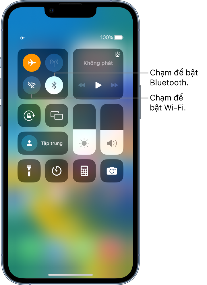 Trung tâm điều khiển với chế độ máy bay được bật. Các nút để bật Wi-Fi và Bluetooth ở gần góc phía trên bên trái của Trung tâm điều khiển.