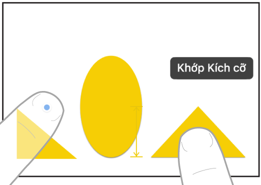 Một hình minh họa đang hiển thị hai ngón tay trên hai bàn tay đang chọn và khớp kích cỡ của hai mục trong Freeform.
