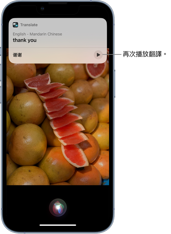 Siri 會顯示廣東話詞組「唔該」的國語翻譯。翻譯底部的按鈕會重播翻譯的語音。