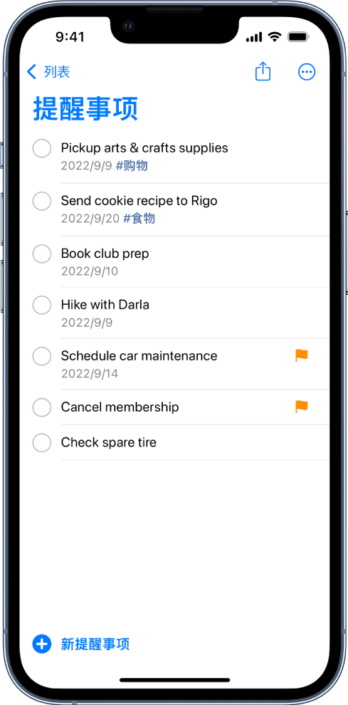 “提醒事项”屏幕显示待办事项列表。“新提醒事项”按钮位于左下方。