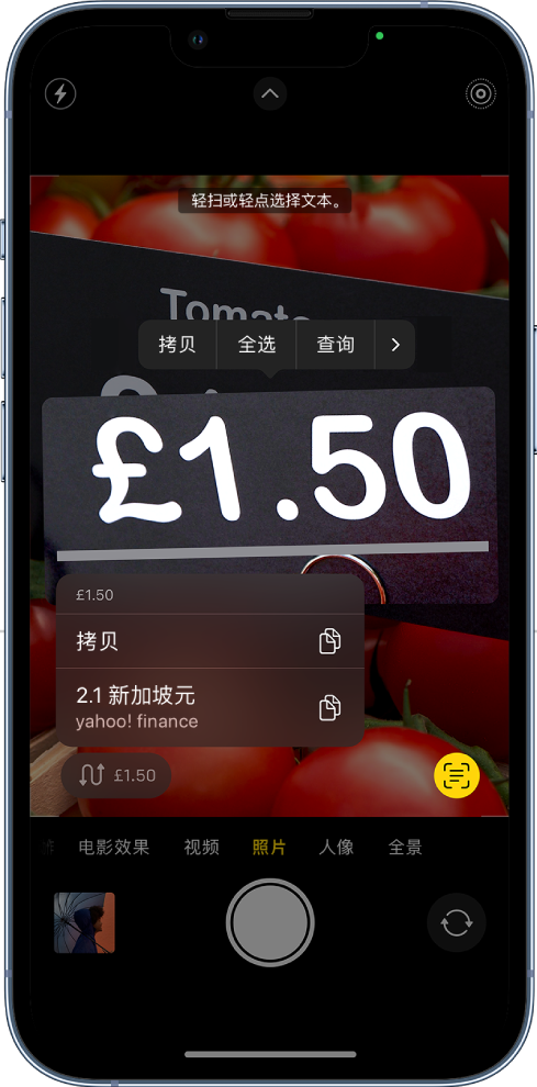 “相机”屏幕显示快速操作按钮以转换显示在相机取景框中的货币。