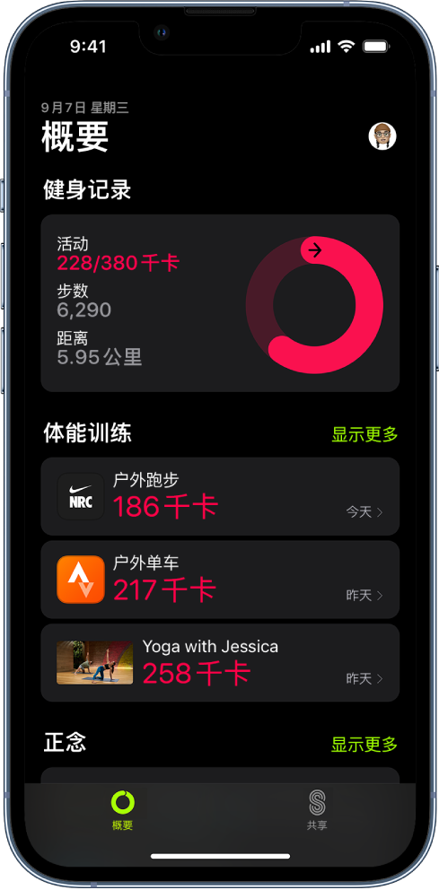 “健身”中的“概要”屏幕，显示“健身记录”、“体能训练”和“正念”区域。屏幕底部为“概要”、Apple Fitness+ 和“共享”标签页。