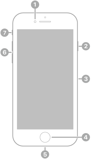 iPhone SE（第三代）的正面。前置相機位於最上方，揚聲器的左側。右側由上至下是側邊按鈕和 SIM 卡托盤。主畫面按鈕位於中央底部。Lightning 連接器位於底部邊緣。左側由下至上是音量按鈕和響鈴/靜音切換。