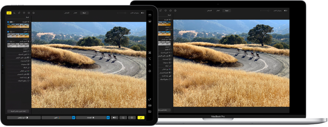 شاشة Mac بجوار شاشة iPad. تعرض كلتا الشاشتين نافذة من أحد تطبيقات تحرير الصور.