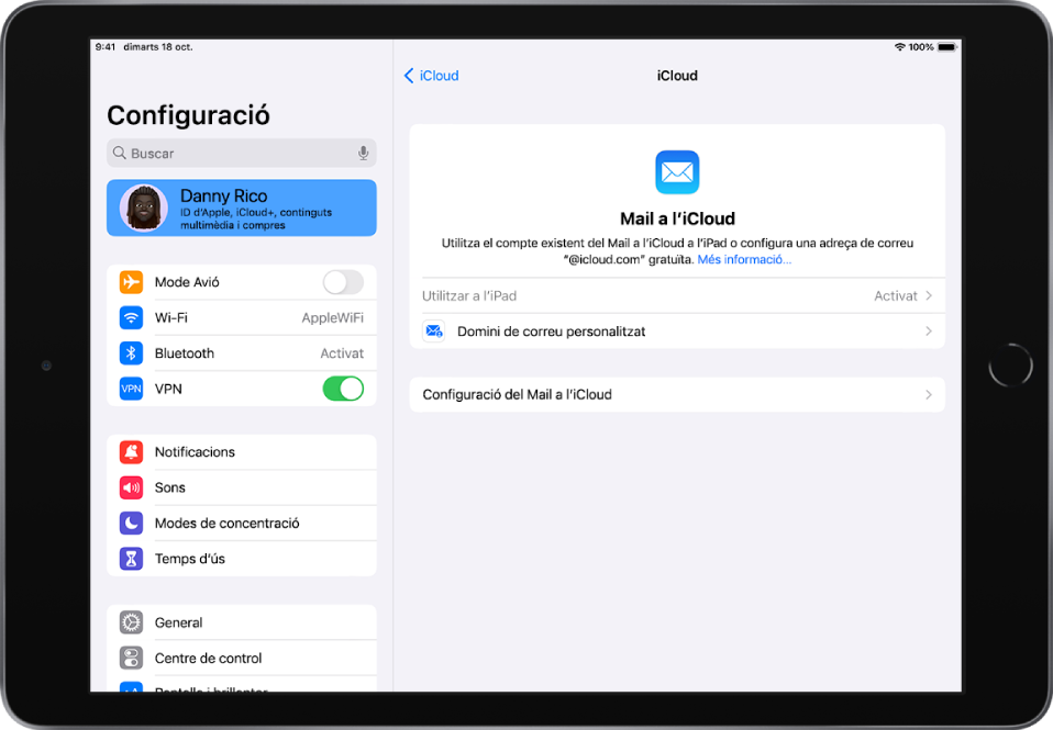 Pantalla de la configuració del Mail a l’iCloud en què es veu l’opció “Utilitzar a l’iPad” activada. A sota hi ha les opcions per configurar un domini de correu personalitzat i el Mail a l’iCloud.