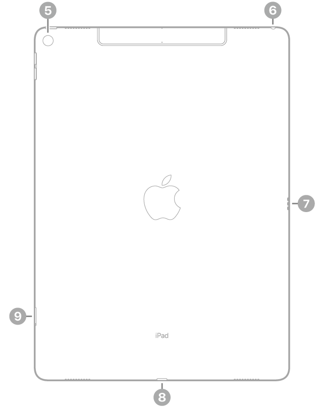 Revers de l’iPad Pro amb crides a la càmera posterior a la part superior esquerra, al connector d’auriculars a la part superior dreta, a l’Smart Connector a la dreta, al connector Lightning a la part inferior central i a la safata de la SIM (Wi-Fi + Cellular) a la part inferior esquerra.