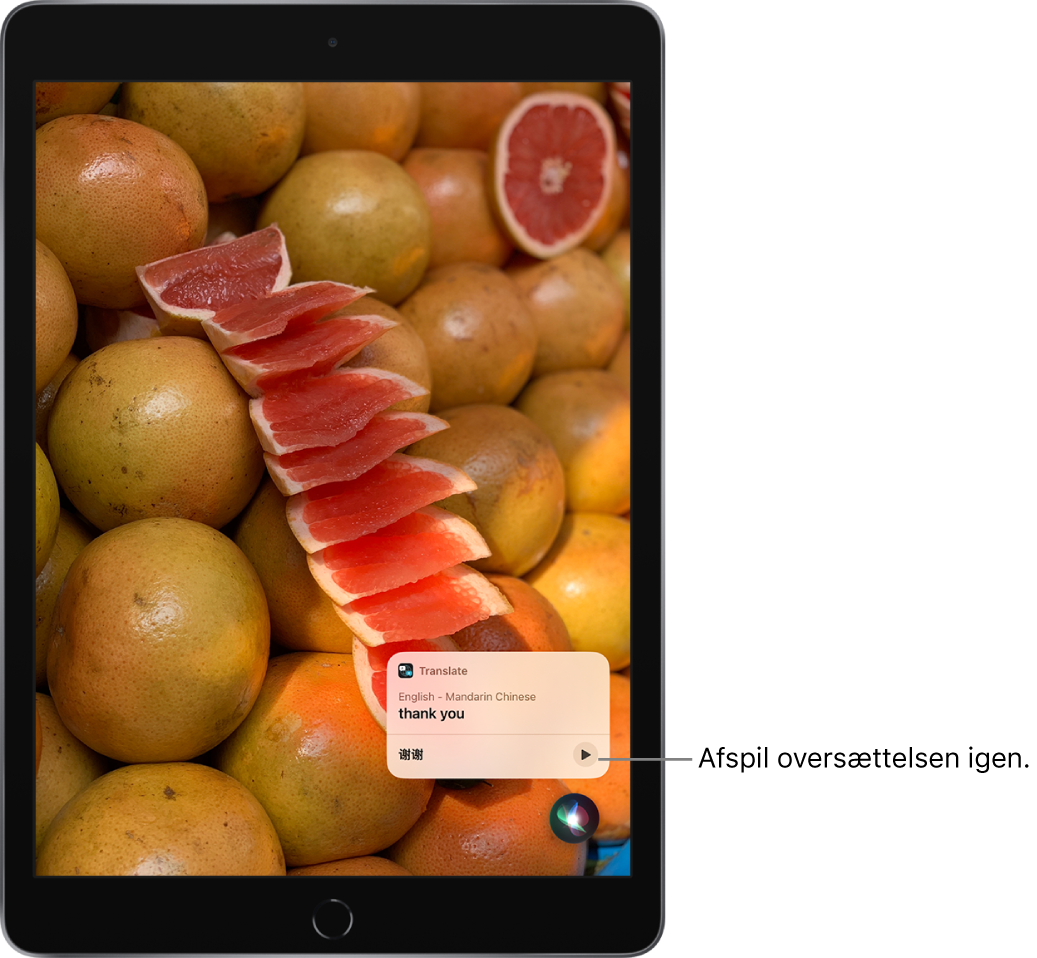 Siri viser en oversættelse af "tak" på mandarin. En knap til højre afspiller lyden af oversættelsen igen.