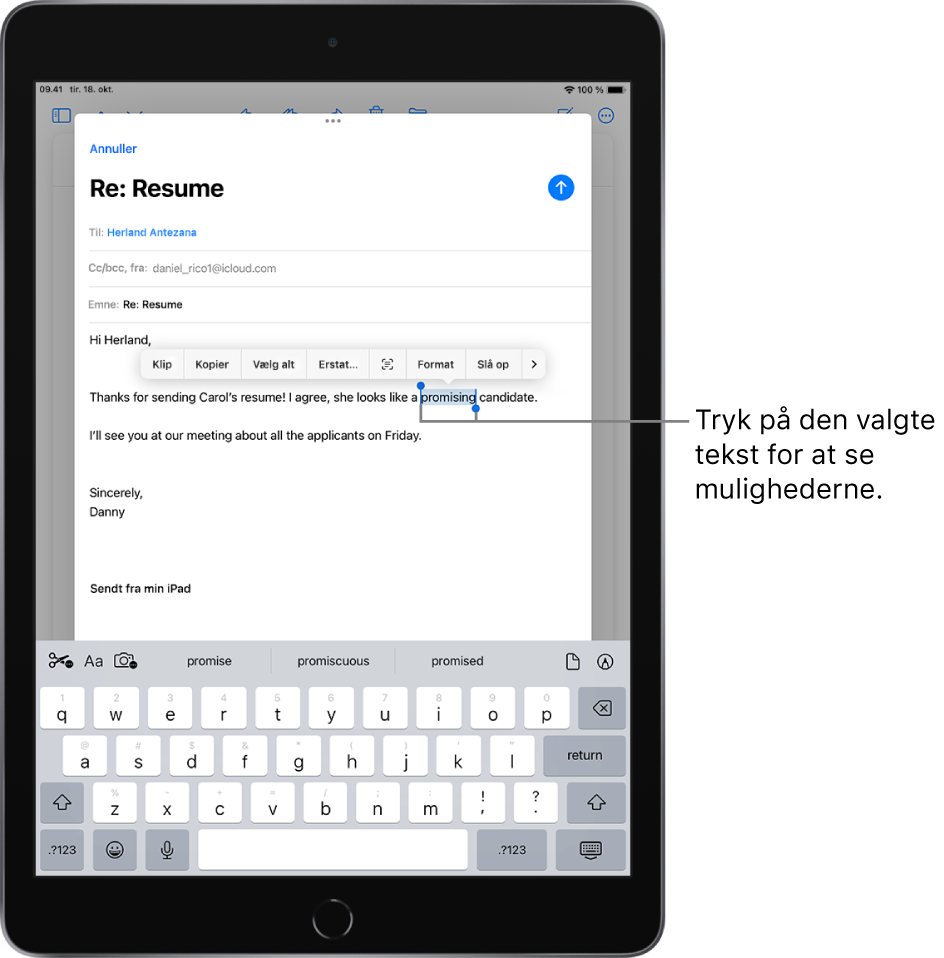 Hop ind Moden Trolley Vælg, klip, kopier og indsæt tekst på iPad - Apple-support (DK)