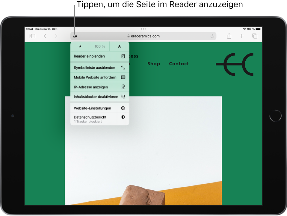 Eine geöffnete Webseite. Links neben dem Suchfeld ist die Taste „Seiteneinstellungen“ ausgewählt und zeigt die Steuerelemente für die Schriftgröße, gefolgt von der Option „Reader einblenden“.