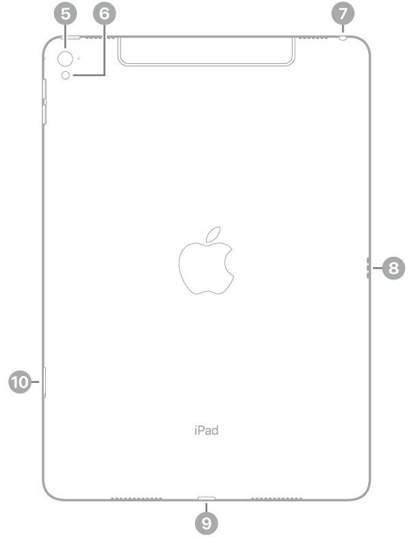 Die Rückansicht des iPad Pro mit Hinweisen auf die rückwärtige Kamera und den Blitz oben links, den Kopfhöreranschluss oben rechts, den Smart Connector rechts, den Lightning Connector unten in der Mitte und das SIM-Fach (Wi-Fi + Cellular) unten links.