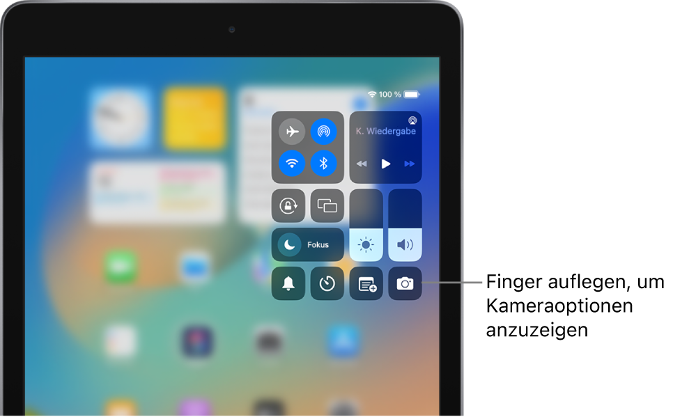 Steuerelemente für den Flugmodus, das Mobilfunknetz, WLAN und Bluetooth in der Gruppe oben links im Kontrollzentrum für iPad-Modelle mit Wi-Fi + Cellular. Das Kamerasymbol befindet sich unten rechts.