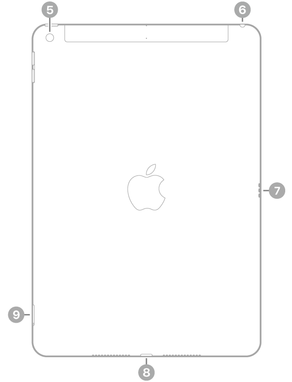 Η πίσω πλευρά του iPad με επεξηγήσεις για την πίσω κάμερα πάνω αριστερά, την υποδοχή ακουστικών πάνω δεξιά, την υποδοχή Smart Connector κάτω δεξιά, την υποδοχή Lightning κάτω στο κέντρο και την υποδοχή SIM (Wi-Fi + Cellular) κάτω αριστερά.