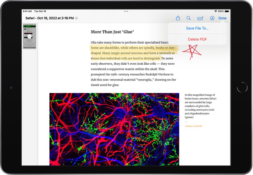 A webpage has selections highlighted and starred. Above the webpage, from left to right, is the title, the Share button, the Search button, the Autofill button, the Markup button, and the Done button. The Done button is selected, displaying the options Save File To and Delete PDF.