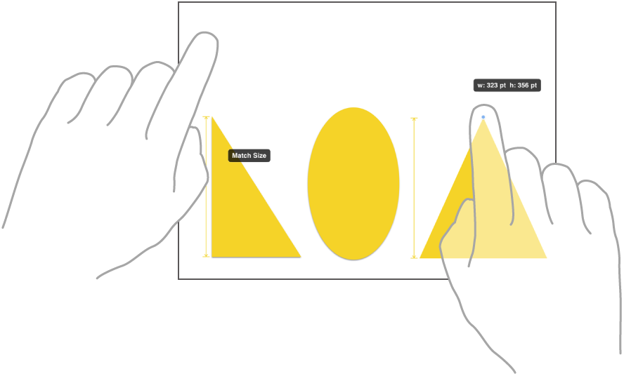 An illustration showing two fingers on two hands selecting and matching the sizes of two items in Freeform.