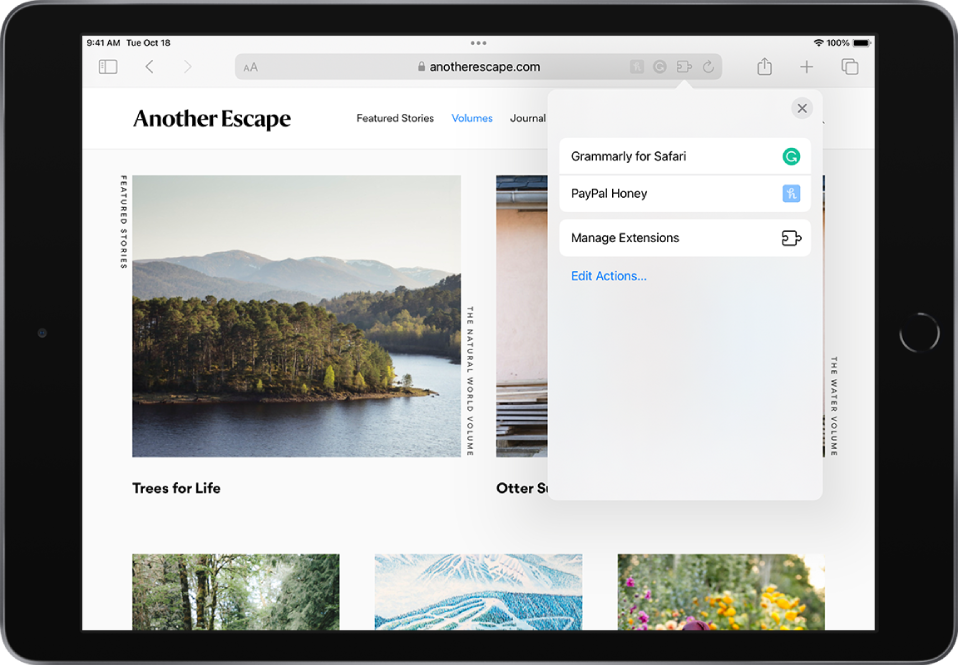 safari extension for ipad