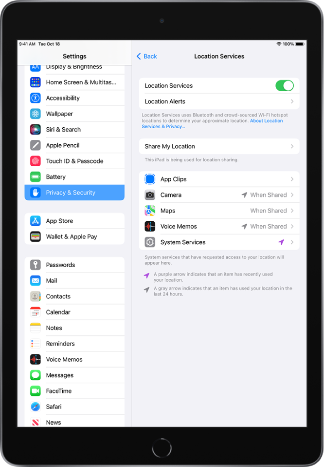 Location Services settings in Privacy & Security settings, with options for sharing the location of your iPad, including custom settings for individual apps.