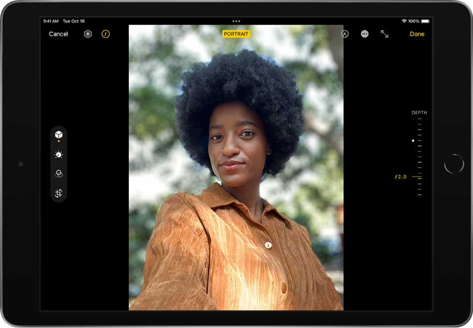 Edit Portrait photos on iPad - Apple Support