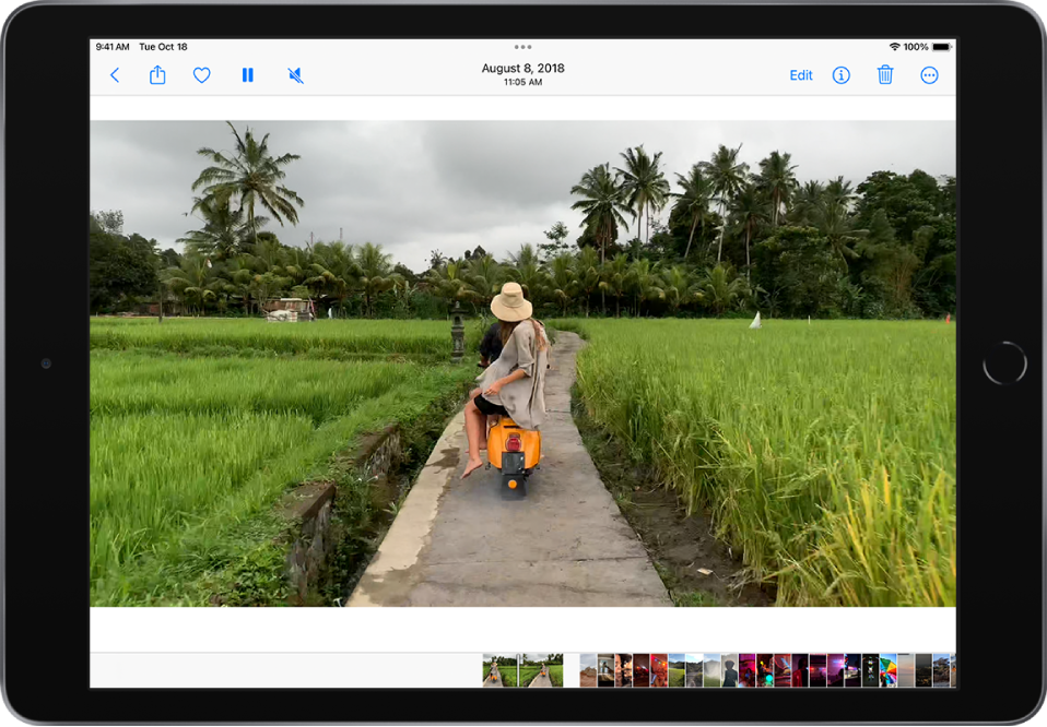 play-videos-and-slideshows-in-the-photos-app-on-ipad-apple-support-au