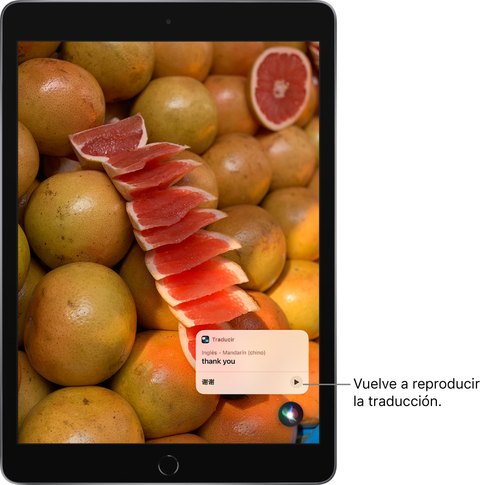 Siri muestra una traducción de la frase “gracias” en chino mandarín. Un botón situado a la derecha de la traducción reproduce el audio de la traducción.