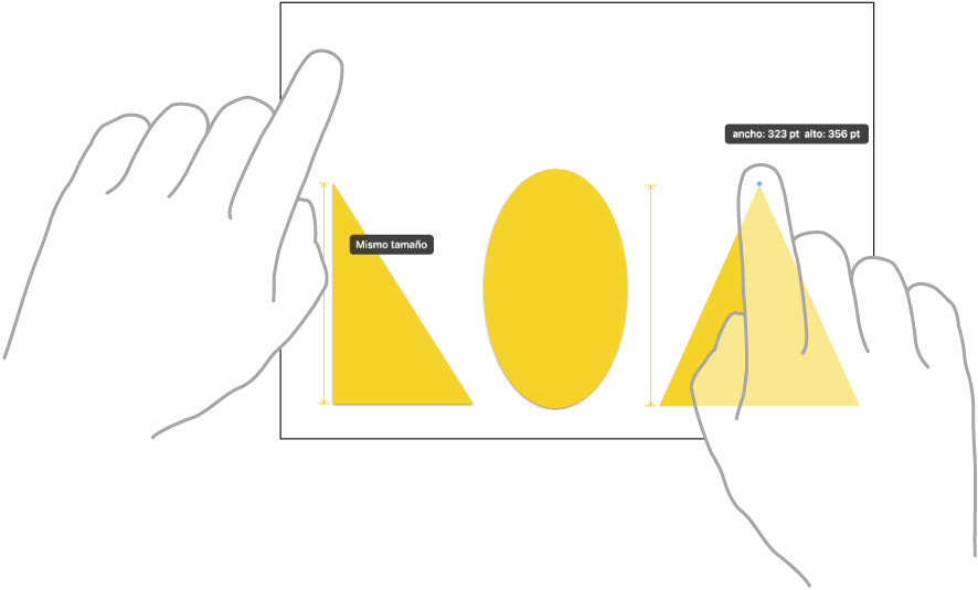 Ilustración que muestra dos dedos de dos manos seleccionando e igualando los tamaños de dos ítems en Freeform.