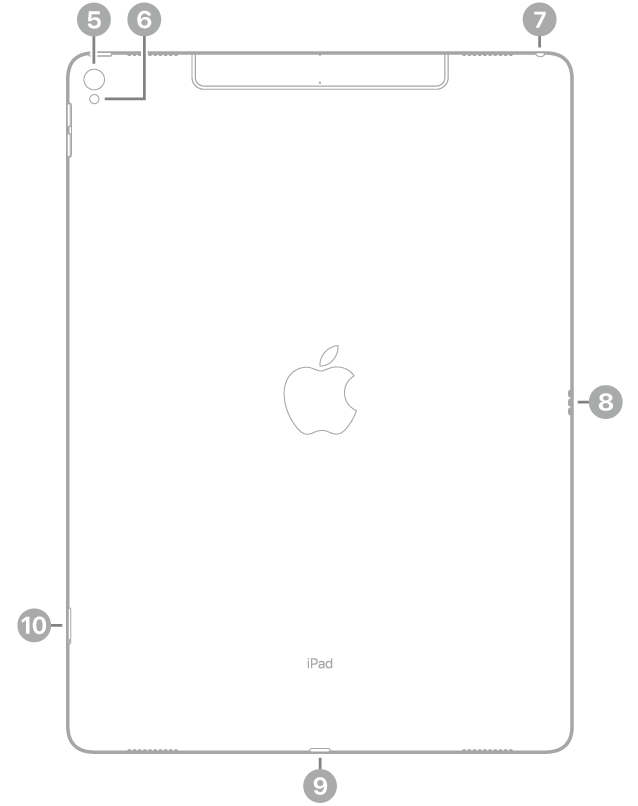 Vista posterior del iPad Pro con textos sobre la cámara trasera y el flash en la parte superior izquierda, la toma de auriculares en la parte superior derecha, el Smart Connector a la derecha, el conector Lightning en la parte inferior central y la bandeja de la tarjeta SIM (Wi-Fi + Cellular) abajo a la izquierda.