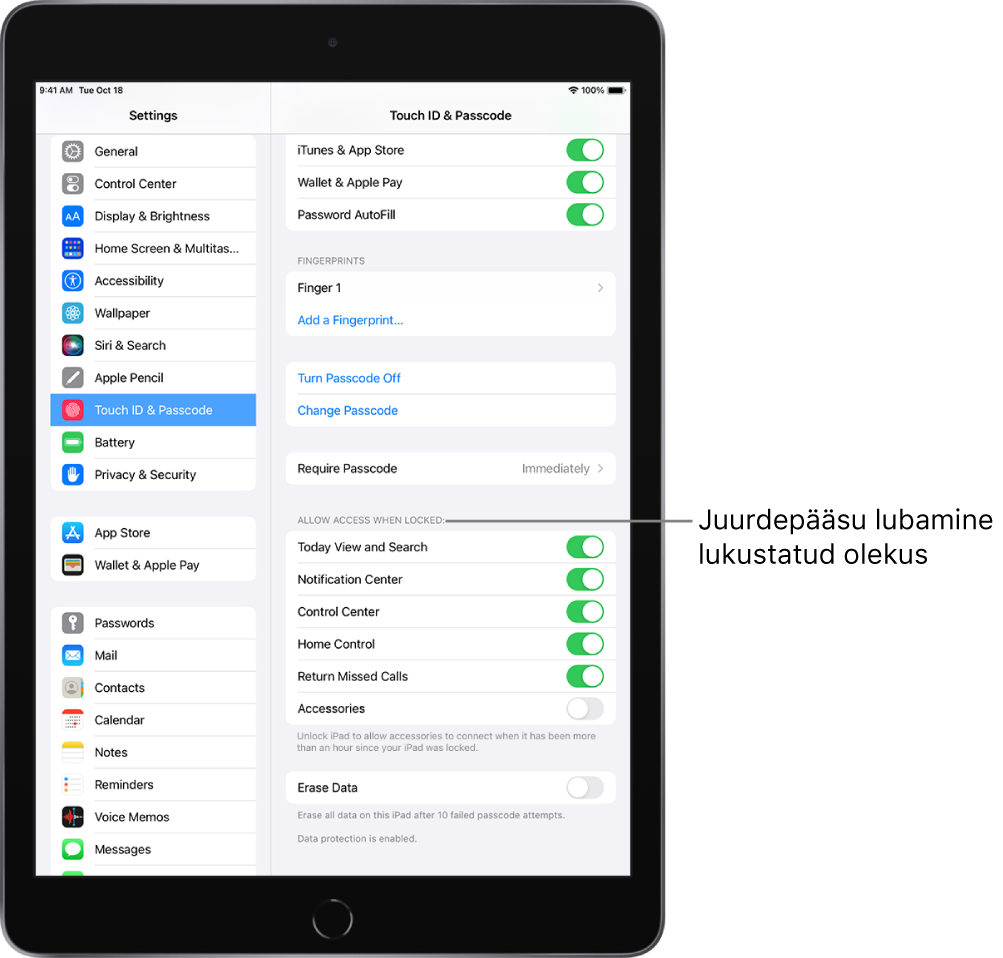 Touch ID & Passcode'i seaded, kus on valikud kindlatele funktsioonidele juurdepääsu lubamiseks, kui iPad on lukustatud.