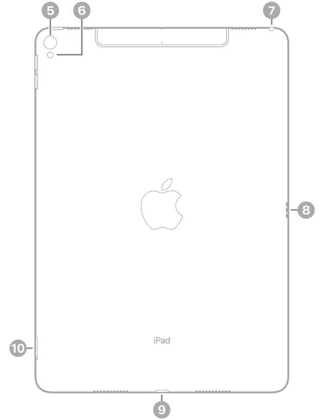 iPad Pro tagantvaade väljaviikudega tagakaamerale ning välgule üleval vasakul, kõrvaklappide pesale üleval paremal, Smart Connector-liidesele paremal, Lightning-liidesele all keskel ning SIM-alusele (Wi-Fi + Cellular) all vasakul.