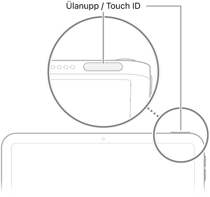 iPadi ülaosas olev ülanupp (Touch ID).