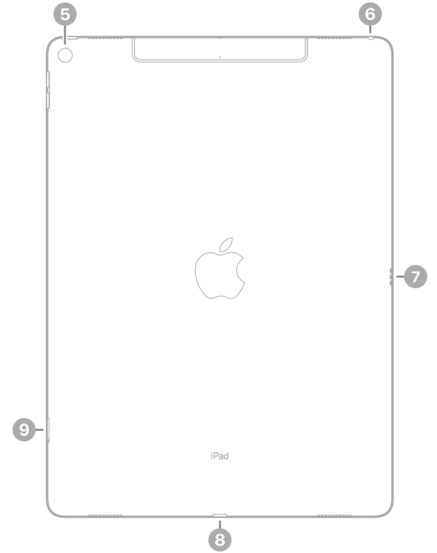 iPad Pro tagantvaade väljaviikudega tagakaamerale üleval vasakul, kõrvaklappide pesale üleval paremal, Smart Connector-liidesele paremal, Lightning-liidesele all keskel ning SIM-alusele (Wi-Fi + Cellular) all vasakul.