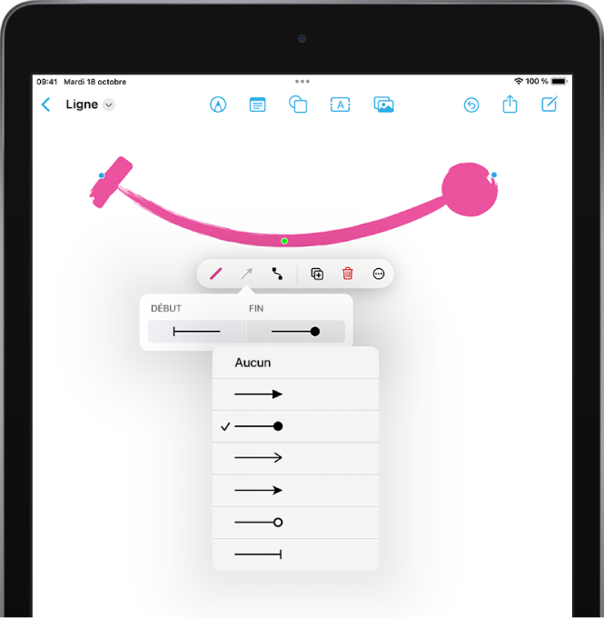 Un tableau Freeform avec une ligne courbe sélectionnée et les outils de mise en forme visibles. Un menu pour sélectionner le style pour chacune des extrémités de la ligne apparaît en dessous des outils de mise en forme.