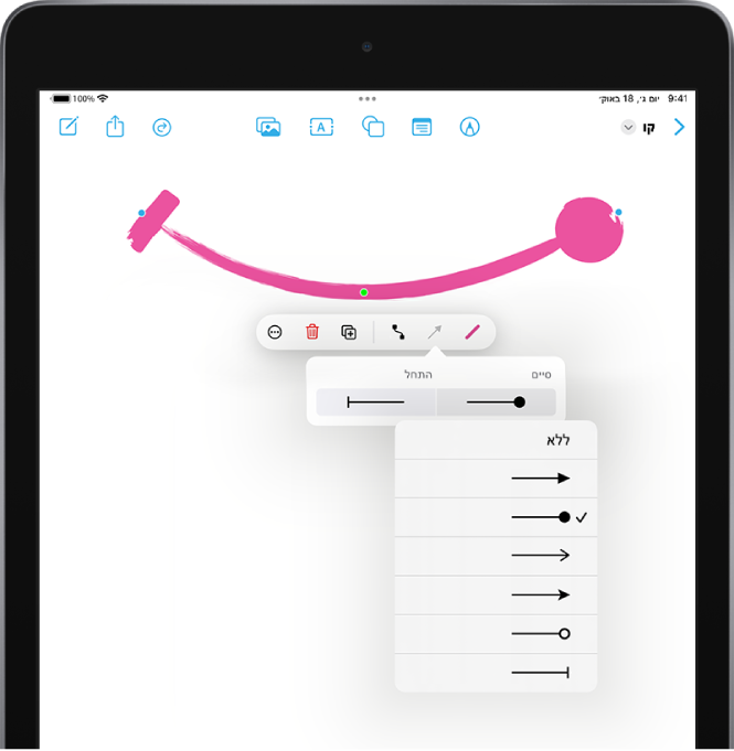 לוח Freeform שבו נבחר קו מעוקל. כלי העיצוב גלויים. תפריט לבחירת הסגנון של התחלת הקו וסופו מופיע מתחת לכלי העיצוב.