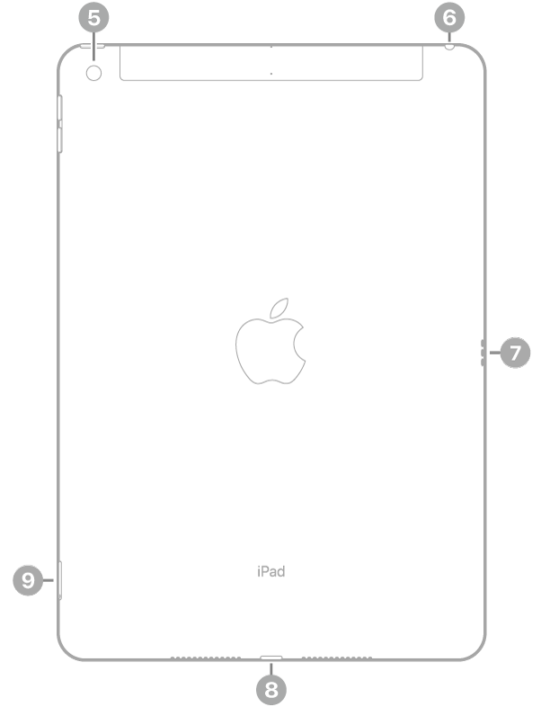 Az iPad hátulnézete, amelyen a feliratok bal felső részen lévő hátsó kamerára, a jobb felső részen lévő fejhallgatócsatlakozóra, a jobb oldalon lévő Smart Connectorra, a készülék aljának közepén lévő Lightning-csatlakozóra, a bal alsó részen lévő SIM-tálcára (Wi-Fi + Cellular) mutatnak.