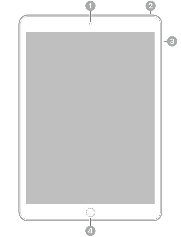 Az iPad elölnézete, amelyen a feliratok a készülék tetejének közepén lévő elülső kamerára, a jobb felső részen lévő felső gombra, a jobb oldalon lévő hangerőgombokra és a készülék aljának közepén lévő Főgombra/Touch ID-ra mutatnak.