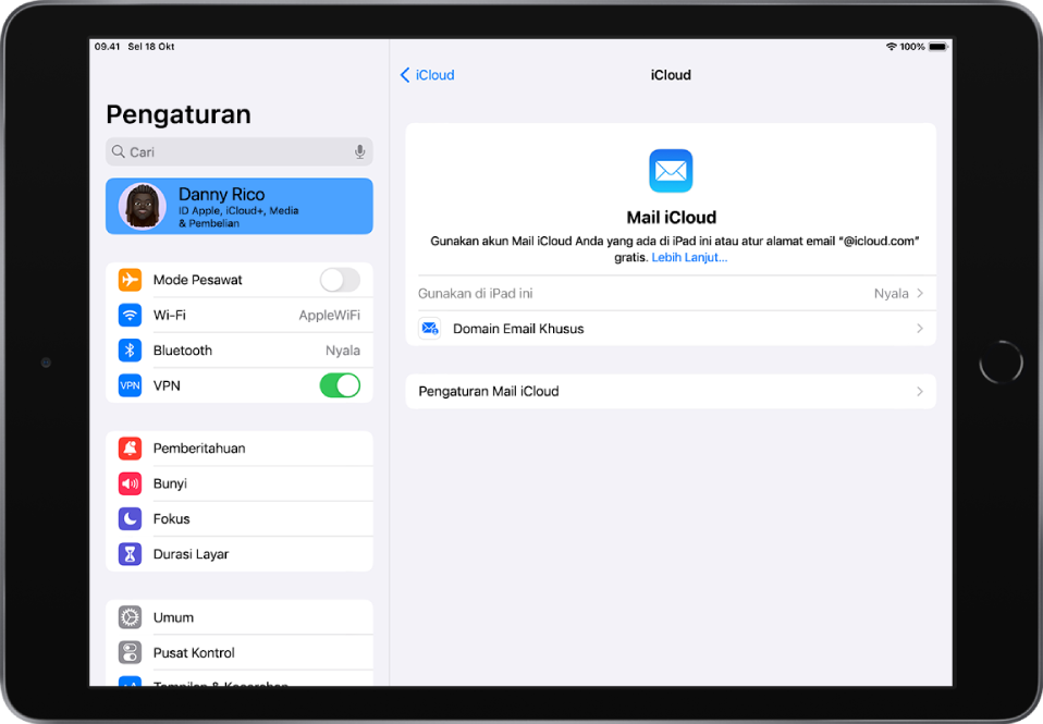App Pengaturan terbuka ke layar iCloud Mail, dan “Gunakan di iPad ini” dinyalakan. Di bawahnya terdapat pilihan untuk pengaturan Domain Email Khusus dan Pengaturan iCloud Mail.