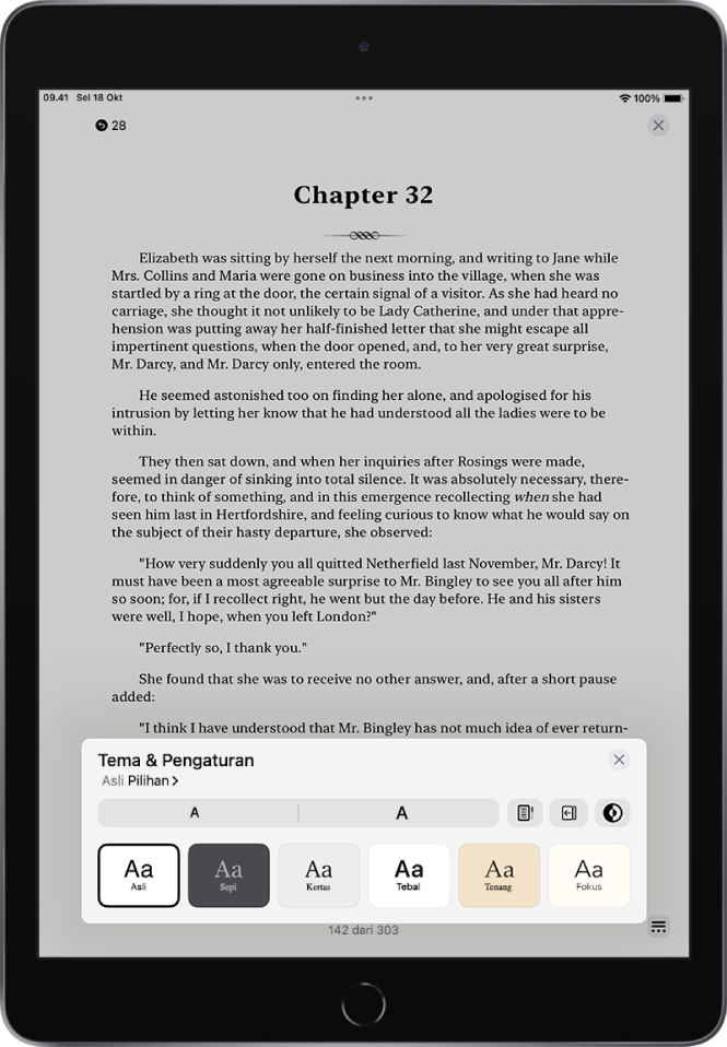 Pilihan Tema dan Pengaturan menampilkan kontrol untuk ukuran font, tampilan pengguliran, gaya membalik halaman, kecerahan, dan gaya font.