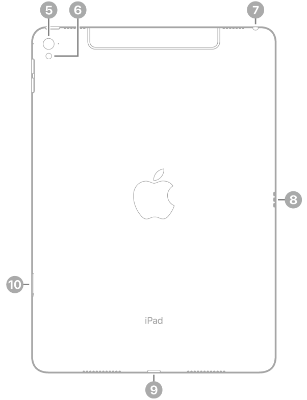 Vista posteriore di iPad Pro con didascalie relative alla fotocamera posteriore e al flash, in alto a destra, lo Smart Connector a destra, il connettore Lightning in basso, al centro, e il vano della SIM (Wi-Fi + Cellular), in basso a sinistra.