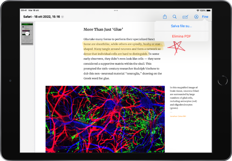 Una pagina web con sezioni evidenziate e aggiunte ai preferiti. Sopra la pagina web, da sinistra a destra, sono visualizzati il titolo, il pulsante Condividi, il pulsante Cerca, il pulsante per l'inserimento automatico, il pulsante Modifica e il pulsante Fine. Il pulsante Fine è selezionato e mostra le opzioni “Salva file su” ed “Elimina PDF”.