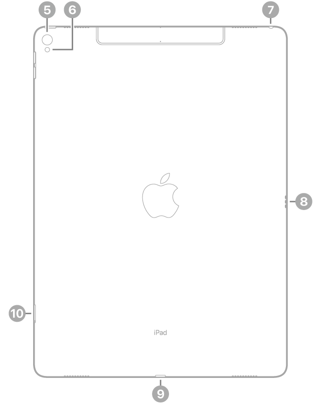 Vista posteriore di iPad Pro con didascalie relative alla fotocamera posteriore e al flash, in alto a destra, lo Smart Connector a destra, il connettore Lightning in basso, al centro, e il vano della SIM (Wi-Fi + Cellular), in basso a sinistra.