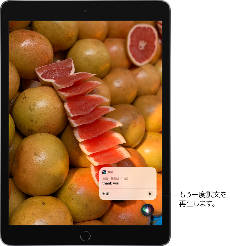 Siriは日本語のフレーズ「ありがとう」の中国語訳を表示します。翻訳結果の右側のボタンをタップすると、訳文が音声でもう一度再生されます。