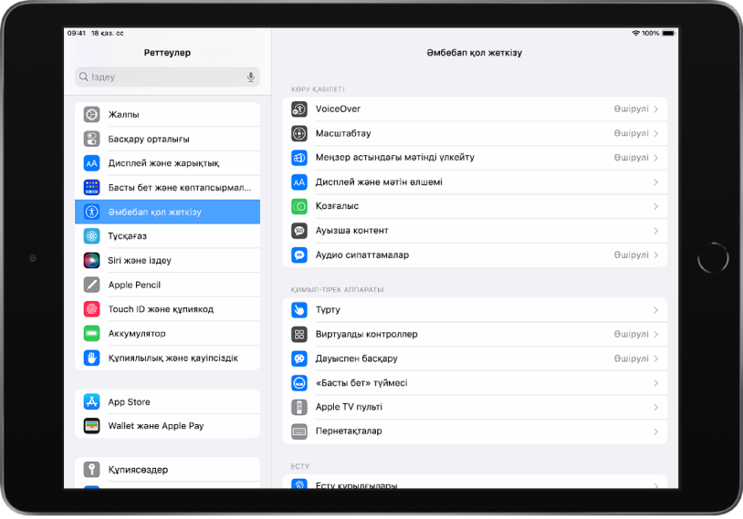 «iPad реттеулері» экраны. Экранның сол жағындағы — «Реттеулер» бүйірлік тақтасы; «Қолжетімділік» таңдалған. Экранның оң жағындағылар — Қолжетімділік мүмкіндіктерін теңшеуге арналған опциялар.