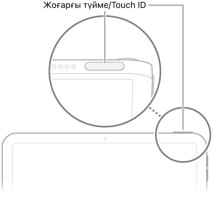 iPad құрылғысының жоғарғы жағындағы жоғарғы түйме (Touch ID).