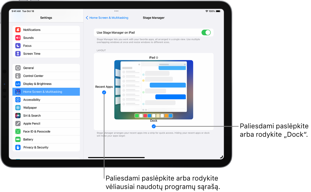 „iPad“ ekranas, kuriame rodomi nustatymai, skirti įjungti ar išjungti „Stage Manager“, paslėpti ar rodyti vėliausiai naudotų programų sąrašą, kai funkcija „Stage Manager“ įjungta, ir slėpti ar rodyti „Dock“, kai funkcija „Stage Manager“ įjungta.