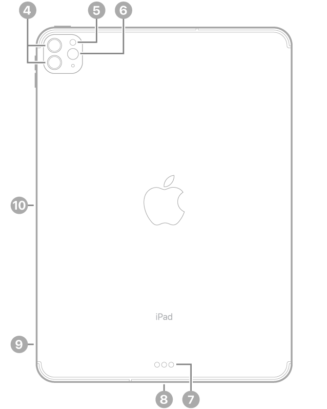 „iPad Pro“ vaizdas iš galo su nuorodomis į galinius fotoaparatus ir blykstę viršuje kairėje, „Smart Connector“ bei USB-C jungtį apačioje centre, SIM kortelės dėklą („Wi-Fi“ ir mobilųjį ryšį palaikantys modeliai) apačioje kairėje ir magnetinę „Apple Pencil“ jungtį kairėje.