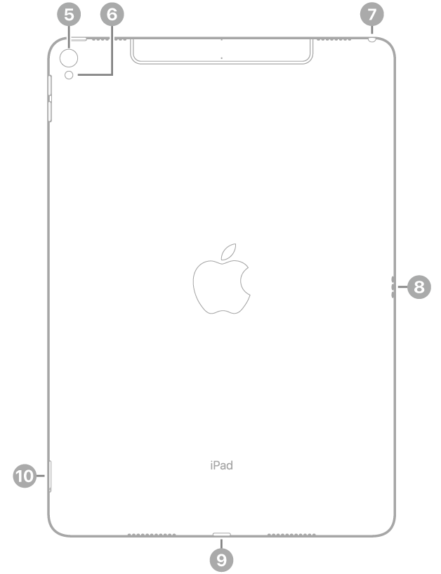 Achterkant van de iPad Pro met bijschriften voor de camera aan de achterkant en de flitser linksbovenin, de koptelefoonaansluiting rechtsbovenin, de Smart Connector aan de rechterkant, de Lightning-connector in het midden onderin en de simkaarthouder (Wi-Fi + Cellular) linksonderin.