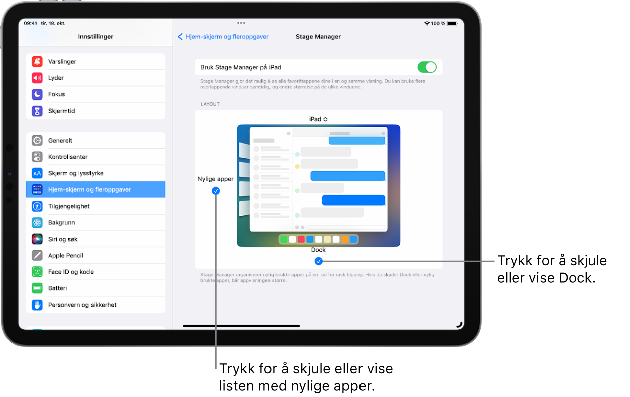 En iPad-skjerm som viser innstillinger for å slå av eller på Stage Manager, skule eller vise listen over nylig brukte apper når Stage Manager er på, og skjule eller vise Dock når Stage Manager er på.