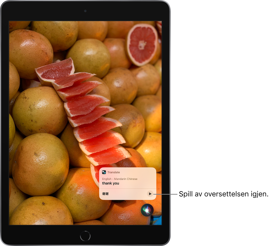 Siri viser en oversettelse av det engelske uttrykket «thank you» til mandarin. En knapp til høyre for oversettelsen spiller av lyden på oversettelsen igjen.