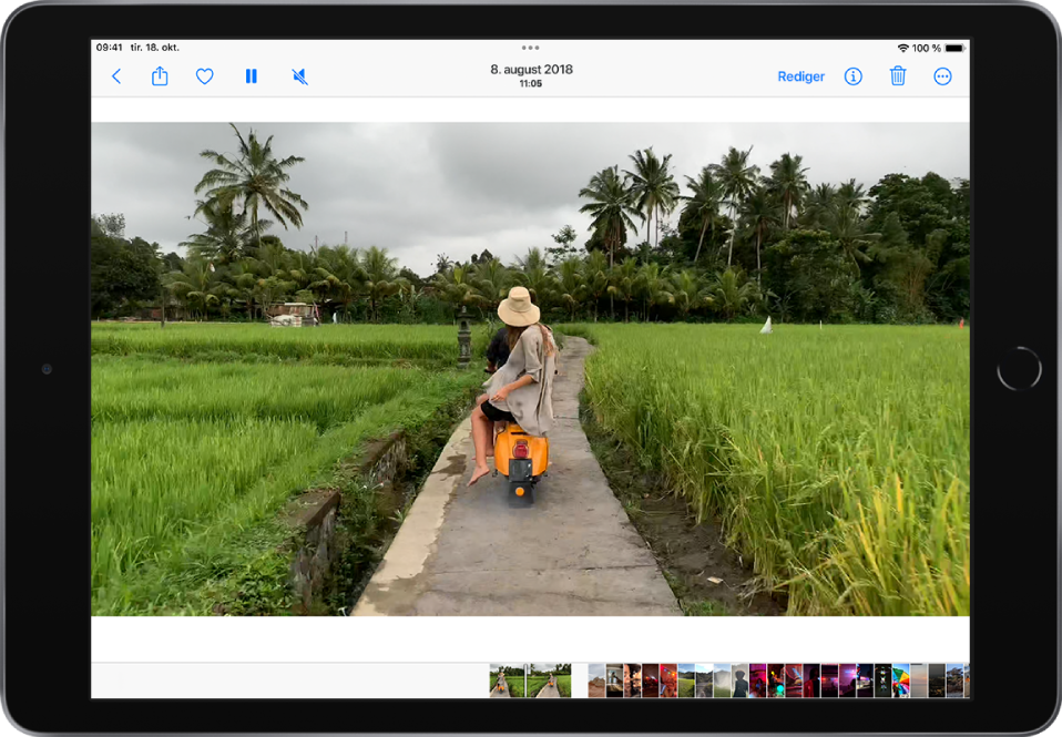 En videospiller midt på skjermen. Øverst til venstre er Tilbake-knappen. Øverst til høyre, fra venstre til høyre, er knappene Del, Favoritt, Pause, Demp, Info, Slett og Rediger. Nederst på skjermen er det miniatyrbilder av andre videoer.